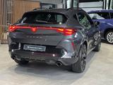 Cupra Formentor VZ 2.0 TSI DSG Matrix AHK - Cupra Formentor Gebrauchtwagen