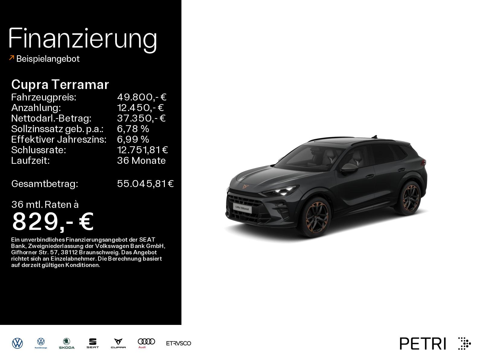 Cupra Terramar VZ 2.0 TSI 195 kW (265 PS) *MATRIX*PANO