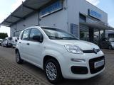 Fiat Panda Easy 1.2 KLIMA/1.Hand/Servo/Allwetterreif. - Fiat Panda