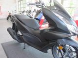 Honda PCX125 Modell ´24 EURO 5 - HONDA ROLLER 125 PCX