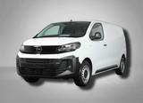 Opel Vivaro Kasten L2 Worksite AHK RFK NAVI AppleCar - Opel Vivaro