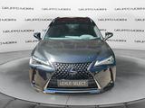 Lexus UX Hybrid Flare-Luxury 4WD MY22 - Lexus UX aus 2022
