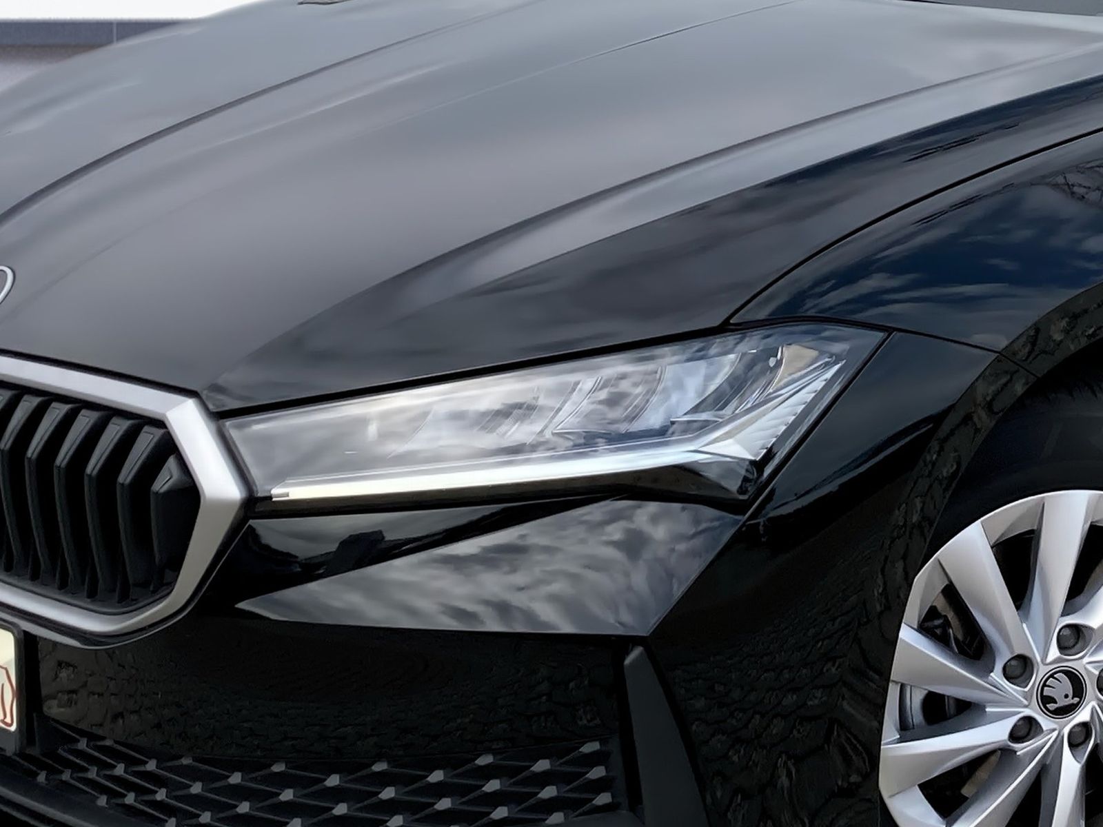 Skoda Superb - Bild 6