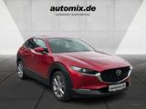 Mazda CX-30 SKYACTIC Selection,ACC,AUTOM. - gebrauchte Mazda CX-30 aus dem Jahr 2020