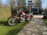 Yamaha Virago 535 - Offers matching your search criteria