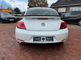 Volkswagen Beetle Lim. Club BMT/NAVI/ - Volkswagen Beetle: Kleinwagen