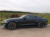 Ford Mustang Bullitt Black Recaros mit Sit... - Ford Mustang Black Gebrauchtwagen