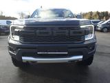 Ford Raptor 3.0l Doka RFK, AHK, PDC, LED Raptor-Paket - Ford Raptor Neuwagen