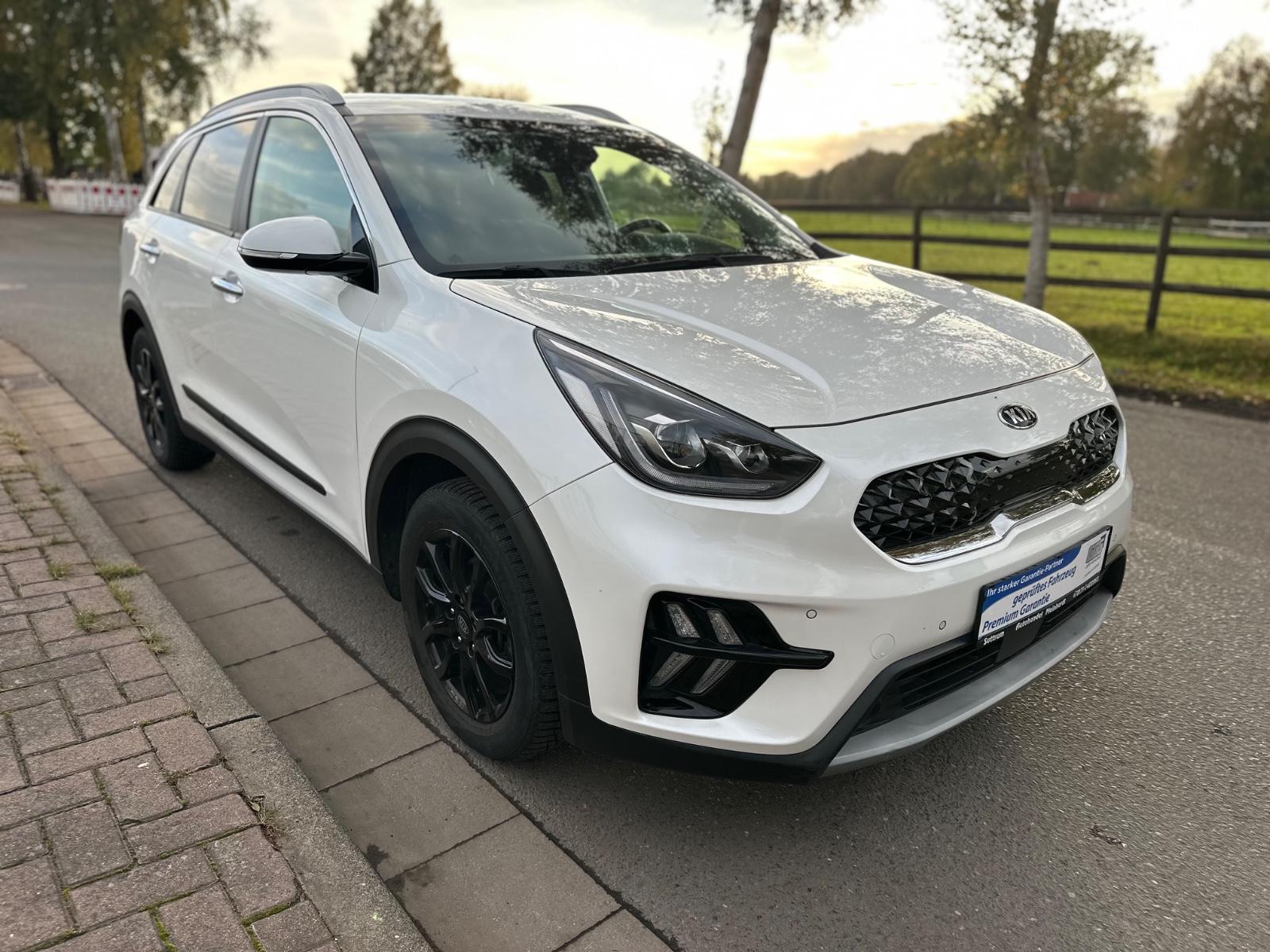 Kia Niro Vision