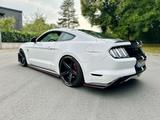 Ford Mustang 5.0 Ti-VCT V8 GT GT - Ford Mustang Gebrauchtwagen in Bielefeld