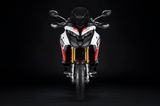 Ducati MULTISTRADA V4 RS **SOFORT LIEFERBAR** - ENDURO VON 1001 BIS 1500 CCM