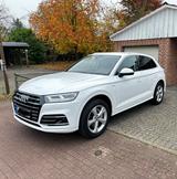 Audi Q5 55 TFSI e S tronic quattro - - Audi Q5 Plug-in Hybrid (PHEV) Gebrauchtwagen