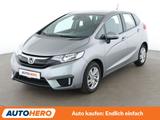 Honda Jazz 1.3 i-VTEC Comfort*TEMPO*PDC*SHZ*KLIMA* - Honda Jazz Comfort mit Benzin-Antrieb
