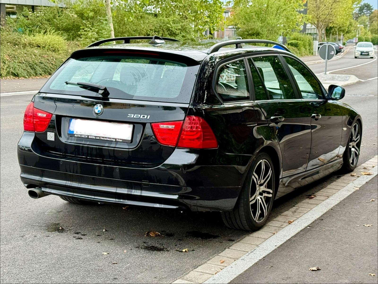 BMW 320 2010 — вигляд ззаду