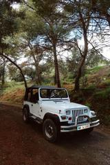 Jeep Wrangler 2.5 - - Jeep aus 1996
