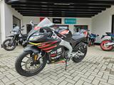 Aprilia RS 125 GP Replica - APRILIA RS 125 REPLICA