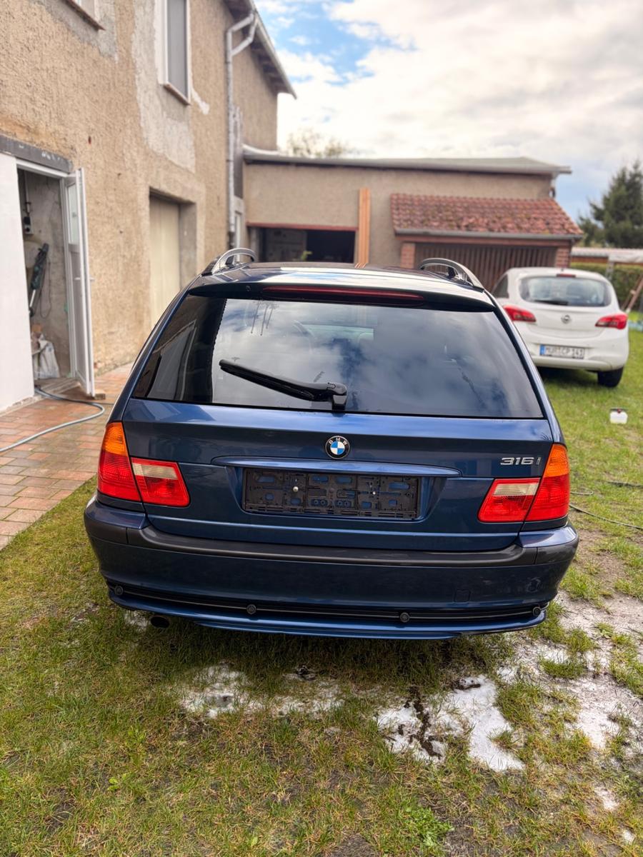 BMW 316 2004 — photo 5