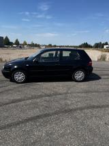 Volkswagen Golf 1.6 Champ Champ - Volkswagen Golf: Champ