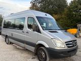 Mercedes-Benz Mercedes Sprinter 515 Cdi Xxl 17 Sitze Kli... - Mercedes-Benz Sprinter: 515