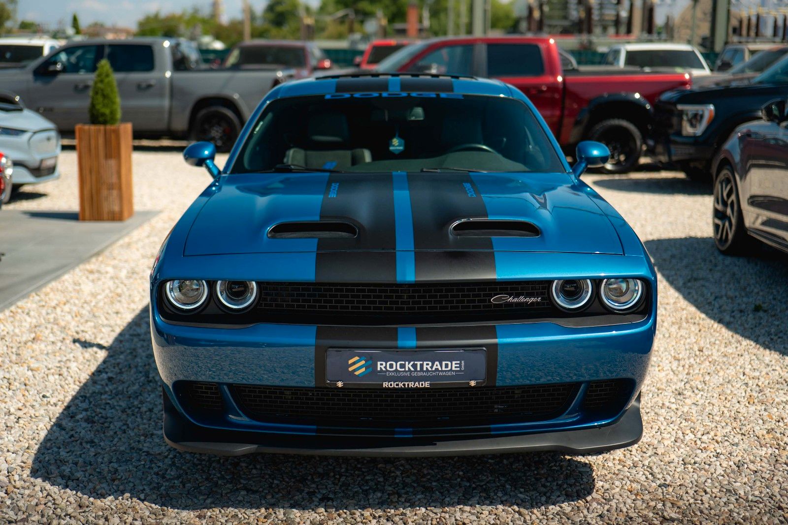 Fahrzeugabbildung Dodge Challenger 3.6 V6 4x4 GT SRT Styling *LED*19%*