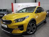Kia XCeed 1.4 T-GDI PLATINUM-EDITION 1.HAND,PANORAMA - Kia XCeed Benzin Gebrauchtwagen