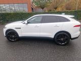 Jaguar F-Pace 35t AWD Portfolio Voll PANO 20 Zoll Leder - Jaguar aus 2017