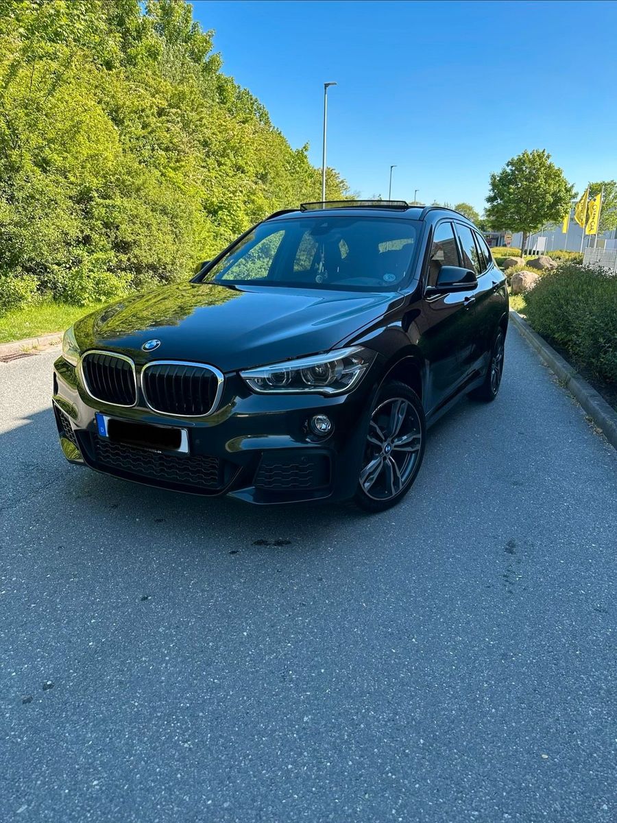 BMW BMW X1 xDrive25d M Sport 231 ps panorama, ...