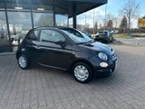 Fiat 500C 1.0 Mild Hybrid (EURO 6d) - Fiat 500C aus 2023
