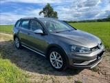 Volkswagen Golf 1.6 TDI 4MOTION BMT Alltrack Alltrack - Volkswagen Golf: Beige