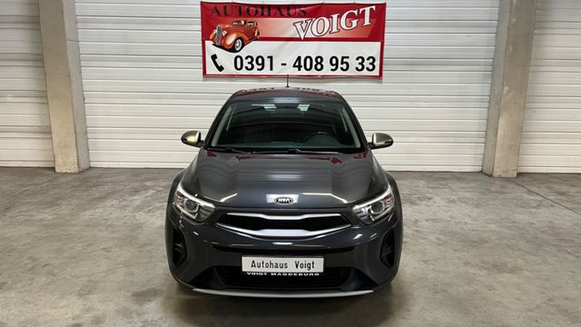 Kia Stonic Edition 7 Sitzheizung Lenkradheizg.