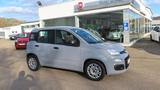 Fiat Panda  Easy 1,0 70 PS MHYB Modagrau - Fiat Panda aus 2021