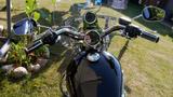 Harley-Davidson Sportster XL 1200 C - Harley-Davidson Motorräder in Lübeck