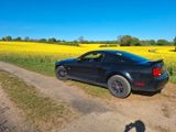 Ford Mustang - Ford Mustang aus 2005: Coupé