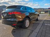 Jaguar F-Pace F-PACE Pure - Jaguar F-Pace: Pure