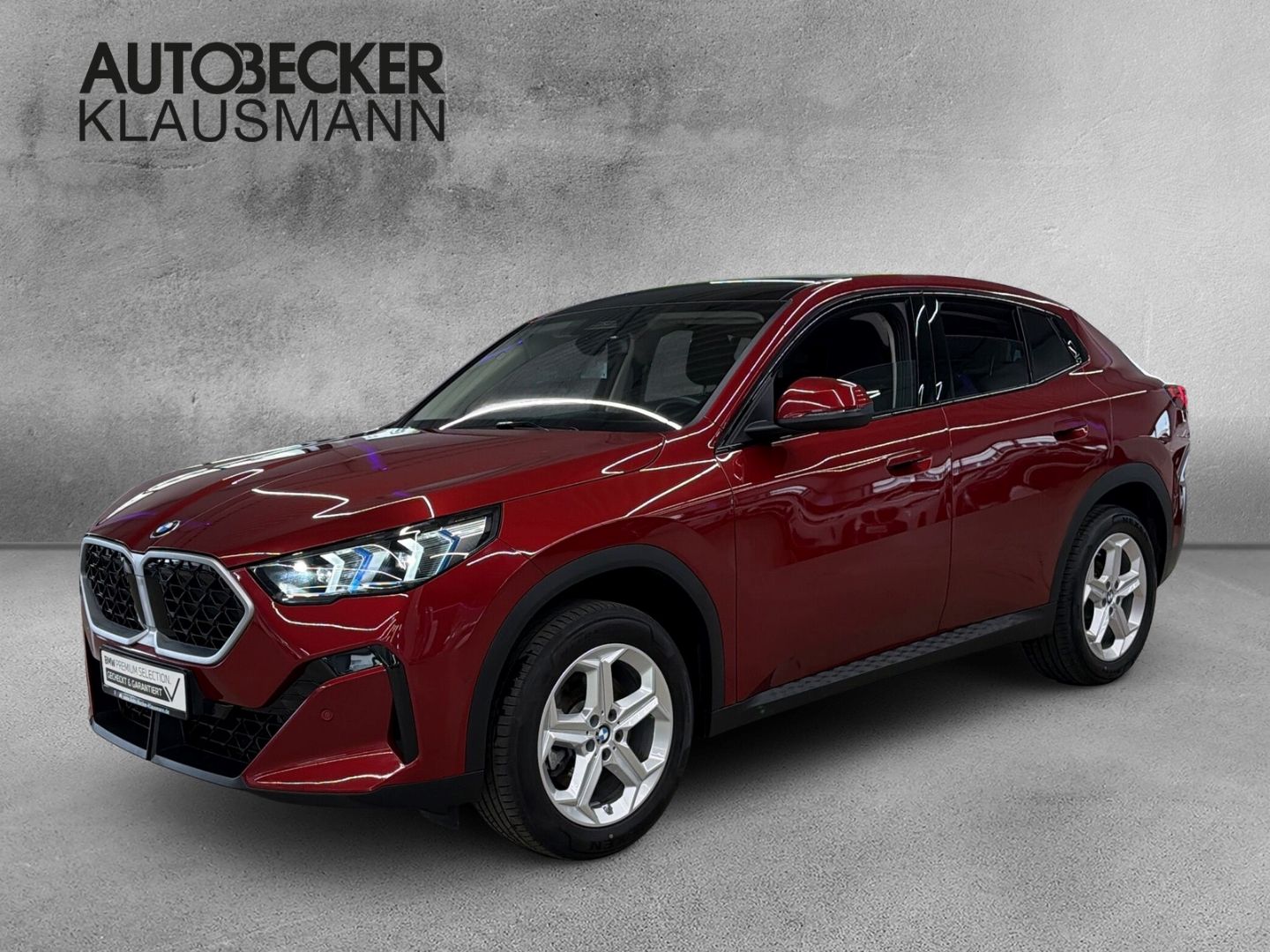 BMW X2 sDrive20i AUTOMATIK 18''NAVI LED ALARM AHK PA