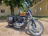 Harley-Davidson Sportster XLH883 mit XL1200CC Erweiterung - HARLEY-DAVIDSON 1995 SPORTSTER 1200