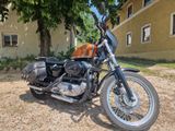Harley-Davidson Sportster XLH883 mit XL1200CC Erweiterung - Offers matching your search criteria