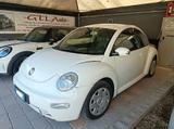 Volkswagen New Beetle 1.6 Miami - weiße Volkswagen New Beetle