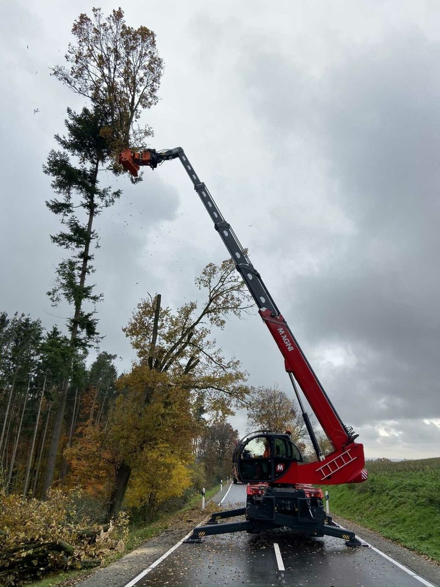 Fahrzeugabbildung Andere Magni RTH 6.30 SH / Fällkran / Westtech CS750