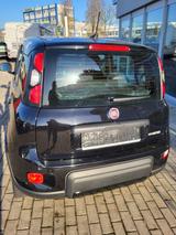 Fiat Panda Sport,Winterp.PDC,Sound,ALU8 fach 16",neuw - Fiat: Sport
