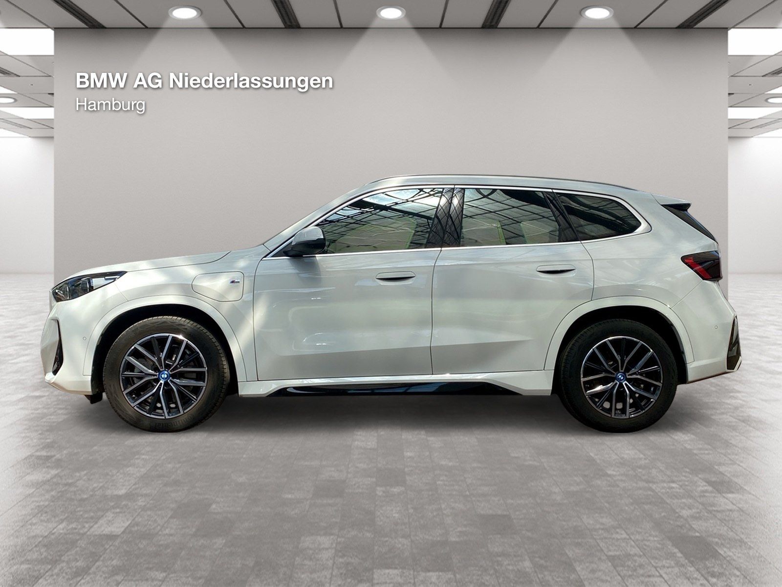 BMW X1 xDrive30e M Sport Driv.Assist.Prof Head-Up foto 2