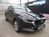 Mazda CX-30 Takumi 2.5L e-SKYACTIV G 140ps Automatik - Mazda CX-30 mit Benzin-Antrieb: Takumi