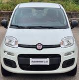 Fiat Panda 0.9 TwinAir Turbo Natural Power Easy  - Fiat Panda mit CNG-Antrieb: Kleinwagen, mit Klimaanlage