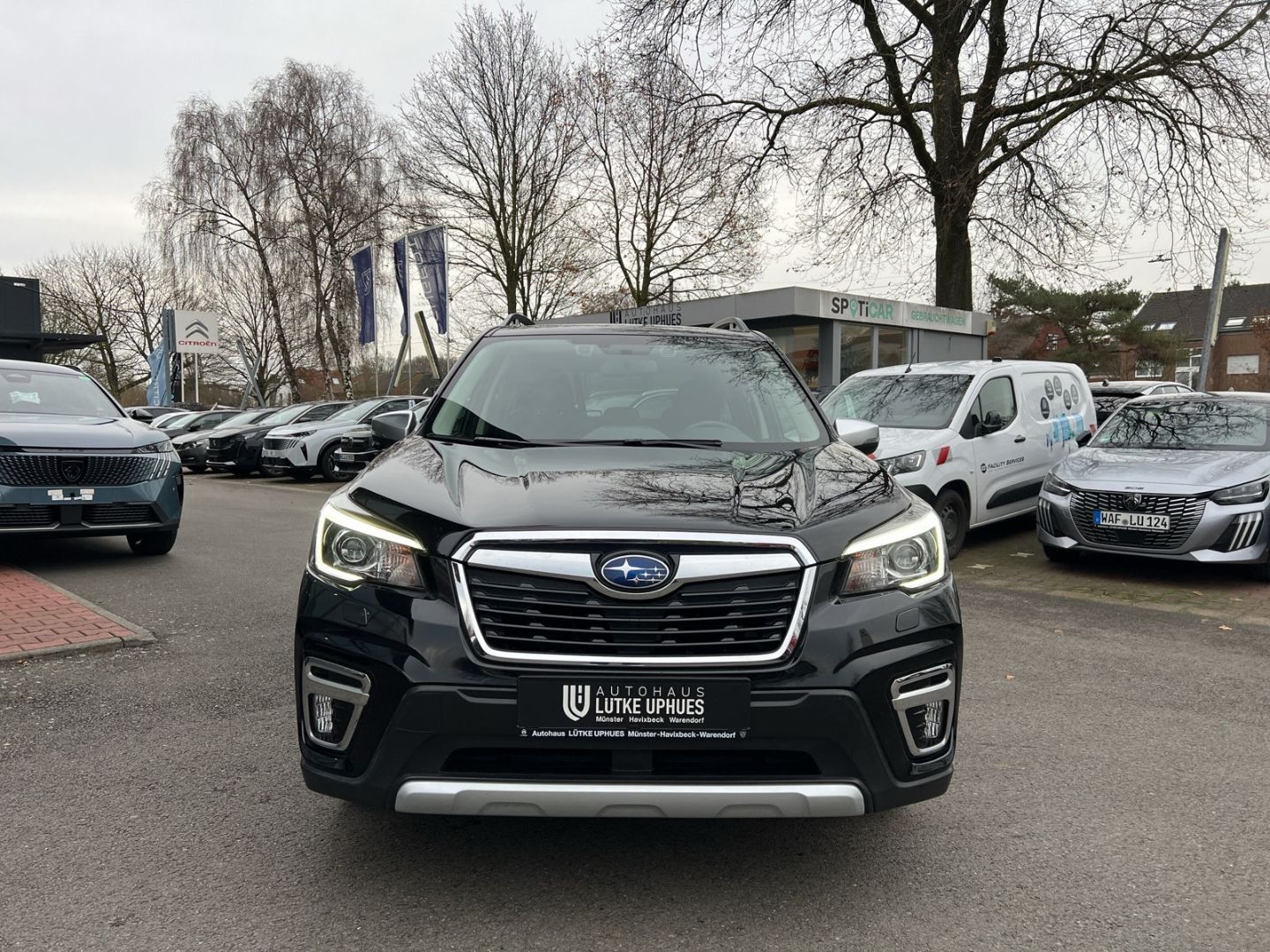 Fahrzeugabbildung Subaru Forester Active SUBARU