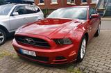 Ford Mustang V6 Mit Pony Ausstattung - Ford Mustang Gebrauchtwagen in Hannover