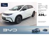 BYD Dolphin Design - BYD DOLPHIN mit Panoramadach