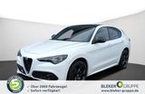 Alfa Romeo Stelvio MY24 TRIBUTO ITALIANO 2.0 Turbo 16V 206 - Alfa Romeo: Italia