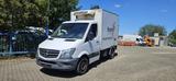 Mercedes-Benz Sprinter II Kühlwagen - Angebote
