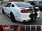 Ford Mustang Coupé 3.7 V6 SHELBY-OPTIK BiXen*Leder*30 - Ford: Shelby