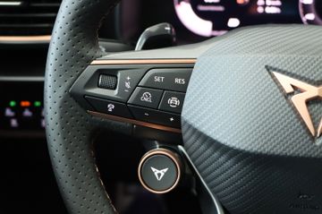 Cupra Formentor 2.0 TDI DSG AHK Panodach Kamera